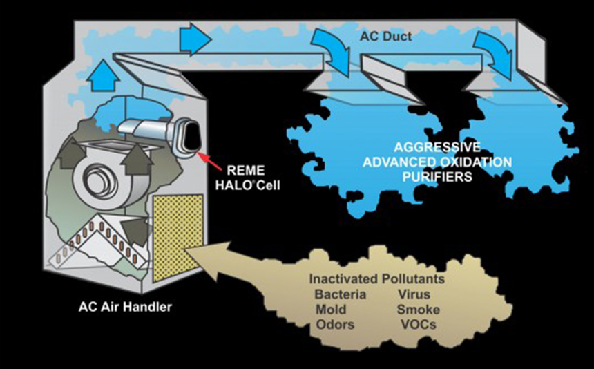 REME-Halo-1